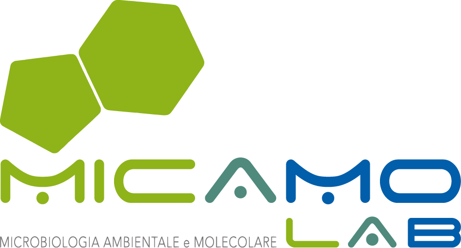 Micamo Lab