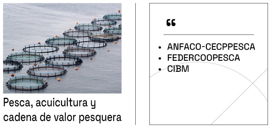 Partners-Pesca-ES
